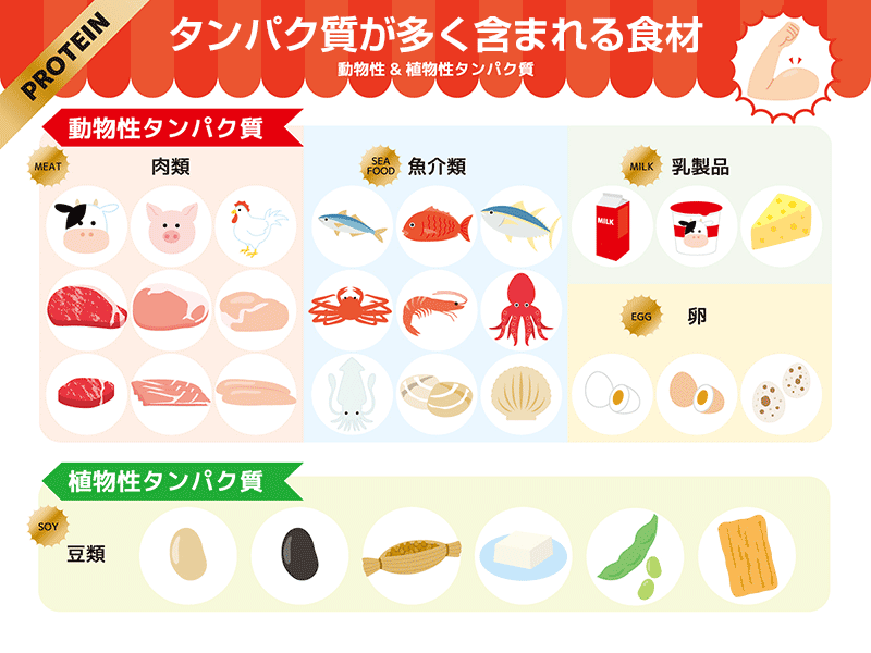 タンパク質が多く含まれる食材一覧表