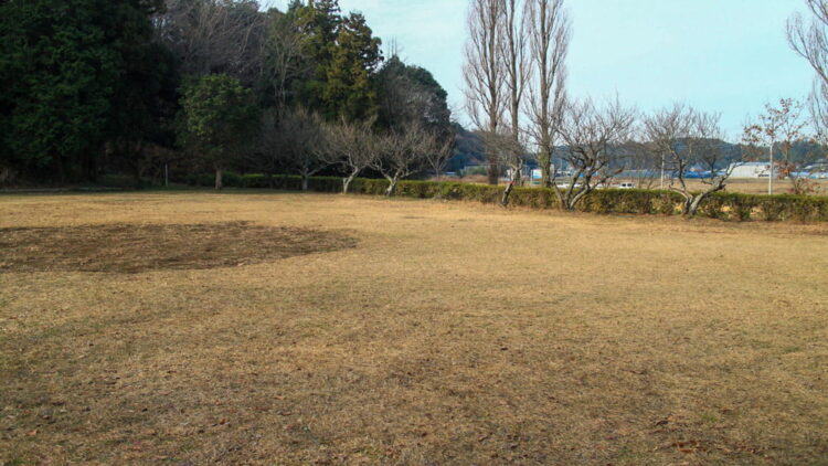 芝生サイトは広々とした土地に芝生が広がっています。